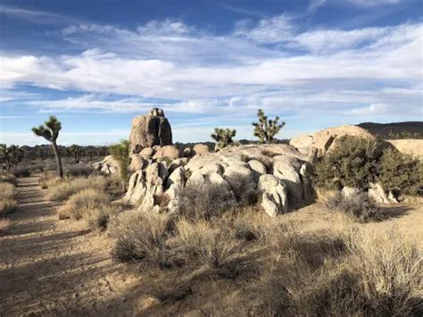 10 Best Long Trails In Twentynine Palms Alltrails