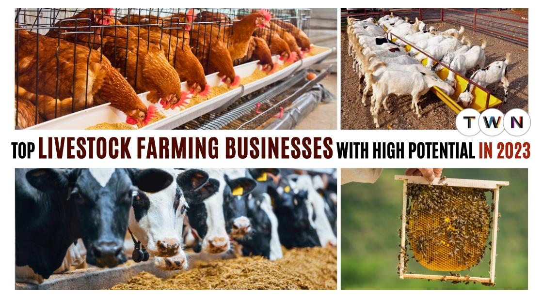 10+ Farming Jobs With High Growth Potential