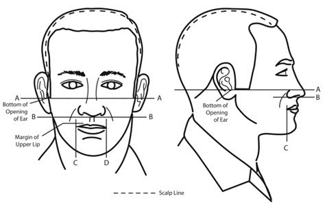 12 Army Mustache Regulation Tips For Easy Compliance