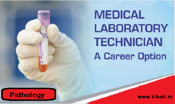 12 Medical Laboratory Technician Vacancy Tips