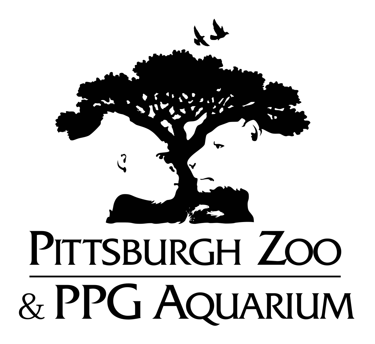 12+ Pittsburgh Zoo & Aquarium Deals To Enjoy