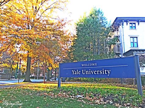 19 Fascinating Facts About The Renowned Yale University Facts Net