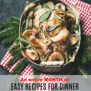 40 Quick Dinner Ideas Pinkwhen