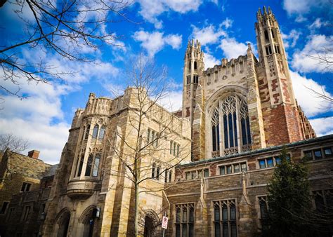 7 Average Lsat Yale Tips For Admission