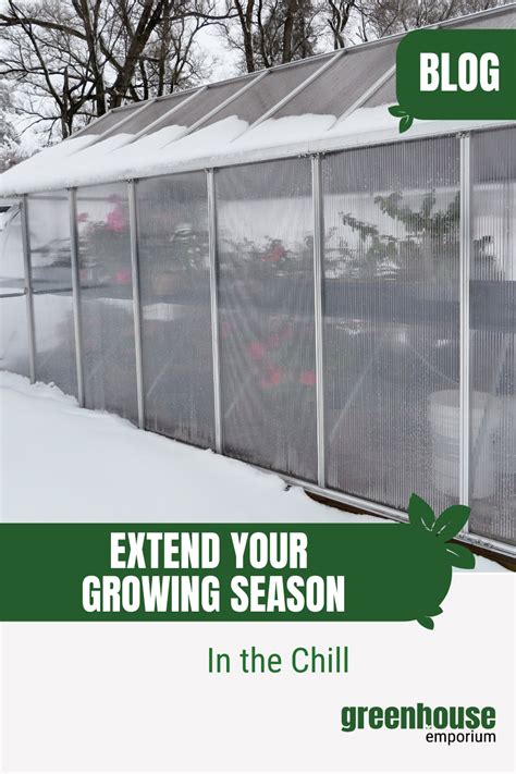 Best Greenhouses For Cold Climates Expert Picks