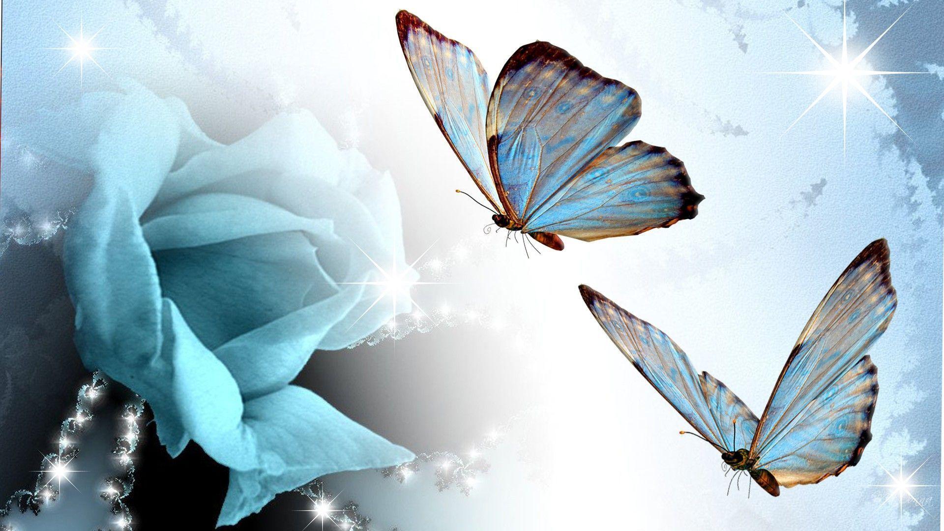 Blue Butterfly Pic Edit Blue Butterfly Wallpaper Butterfly Wallpaper