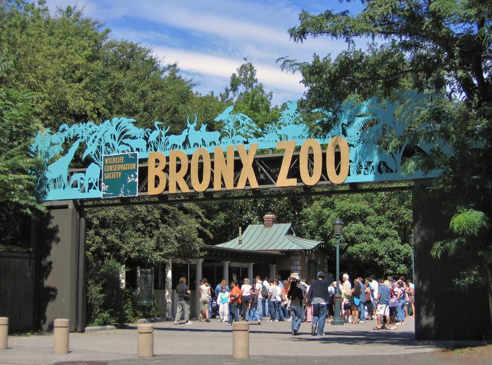 Bronx Zoo Promotion Code 2024 Roby Vinnie