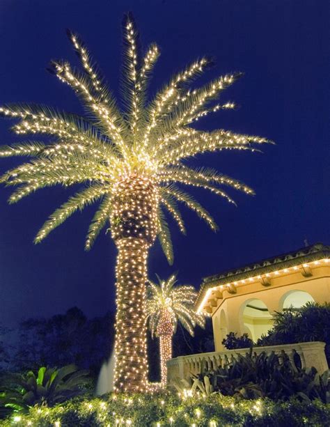 Christmas Palm Tree Guide