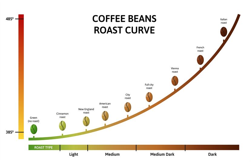 Coffee Roasting Levels Roast Curve Optimal Temperature For Roasting