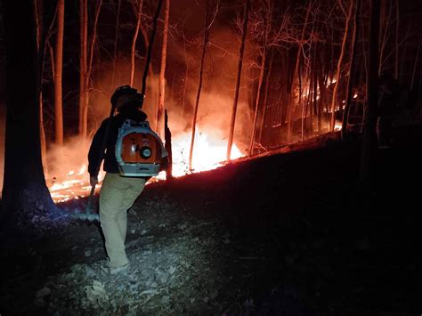 Crews Contain Fire That Sparked In Hardy County Tuesday Night