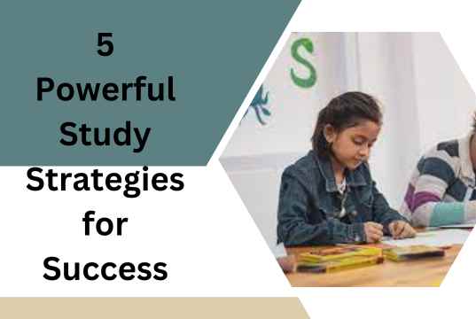 Day 7 The Art Of Effective Study Strategies For Academic Success