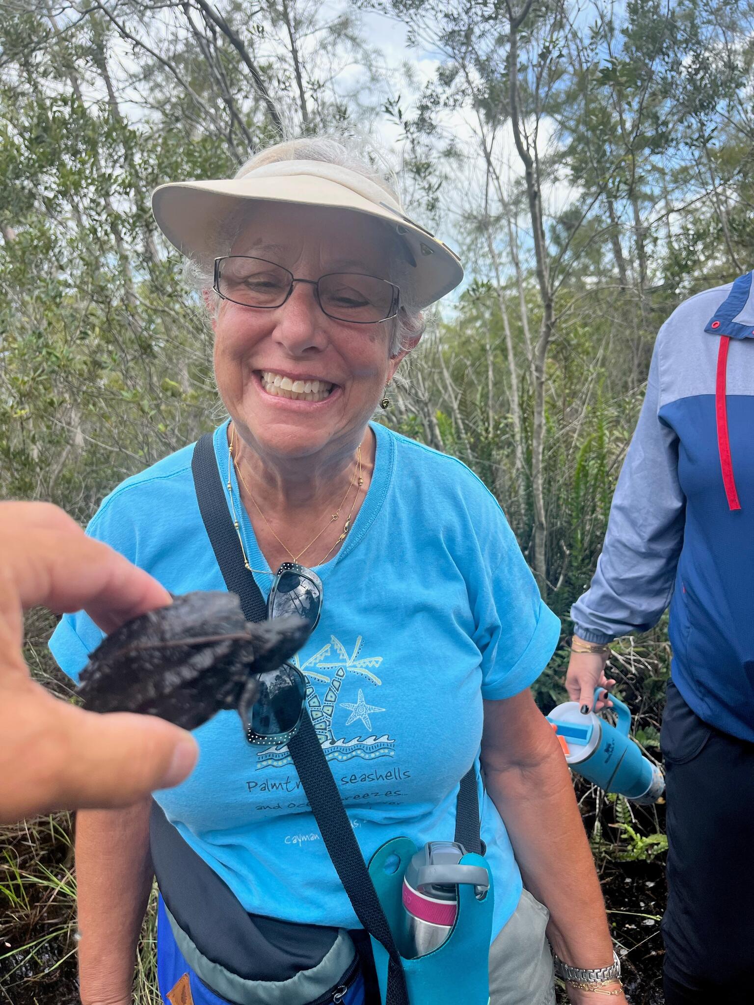 Dive Into The Wonders Of Florida S Ecosystems With The Florida Master