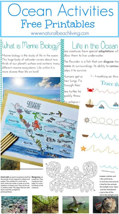 Download A Free Marine Biology Ocean Unit Study Guide Lesson Plans