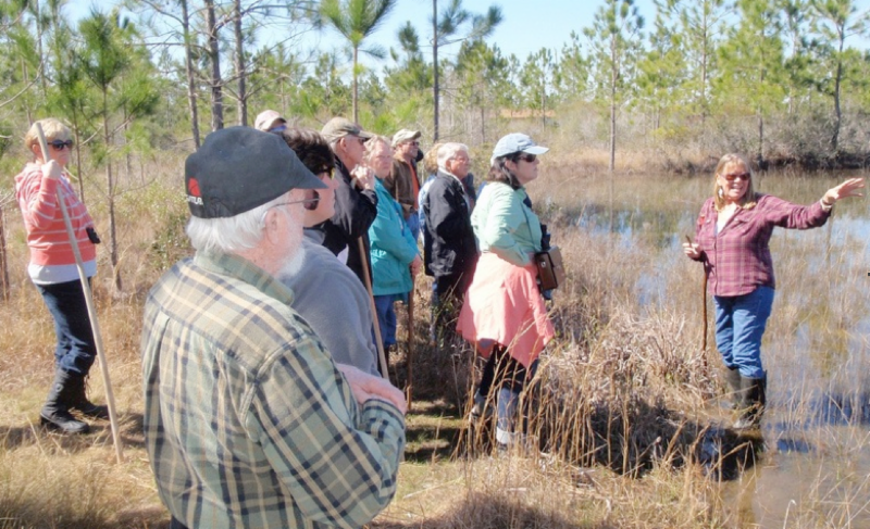 Florida Master Naturalist Program