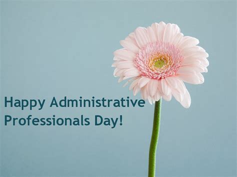 Happy Admin Day: Ultimate Celebration Guide