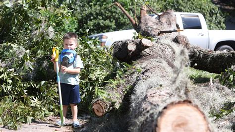 Helene Damage Tallahassee