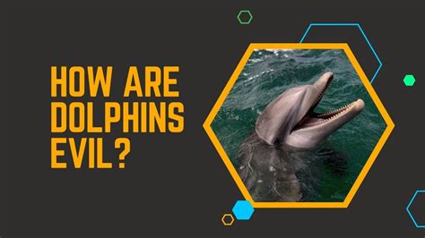 How Evil Are Dolphins? Separating Fact From Myth