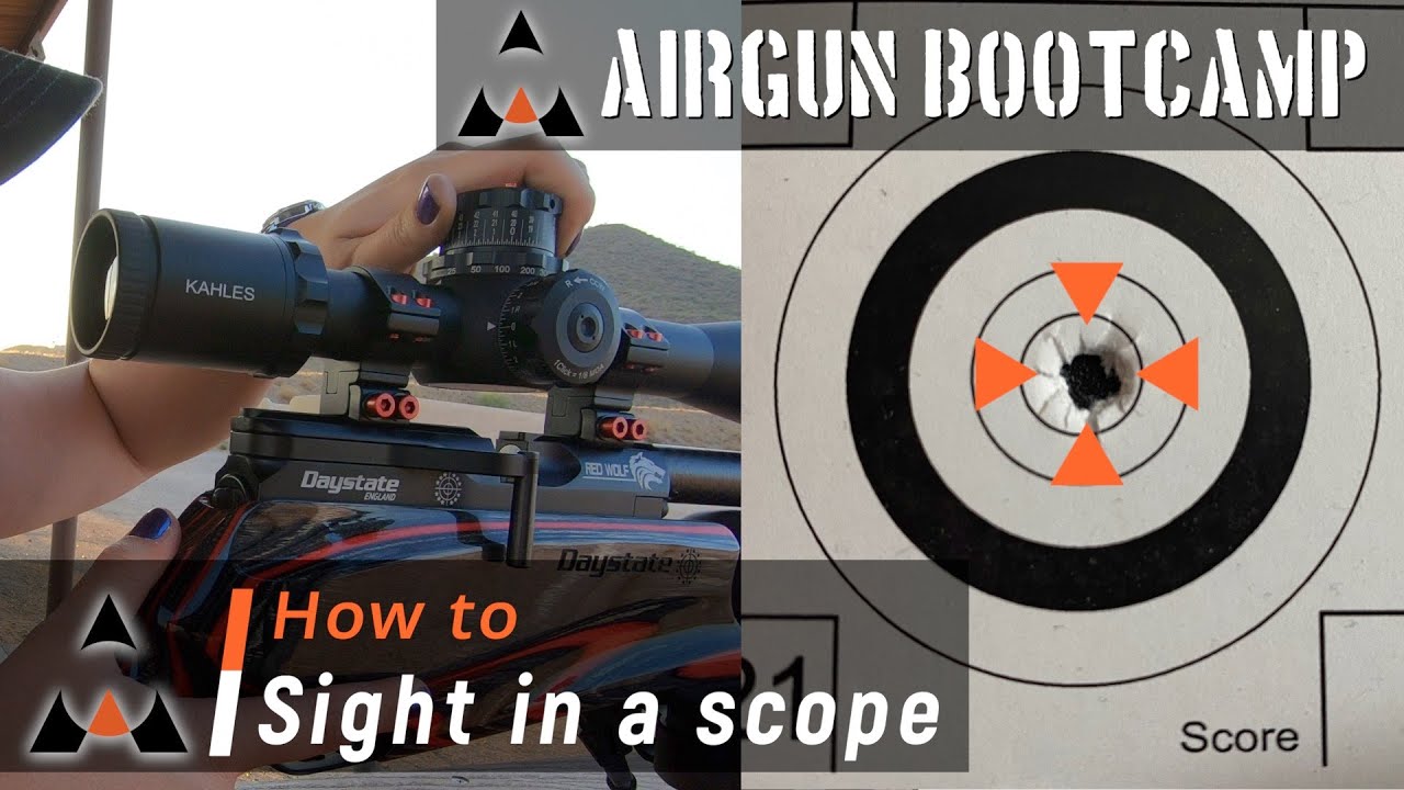 How To Sight In A Pellet Gun Expert Tips For Accuracy The Deer Hunting