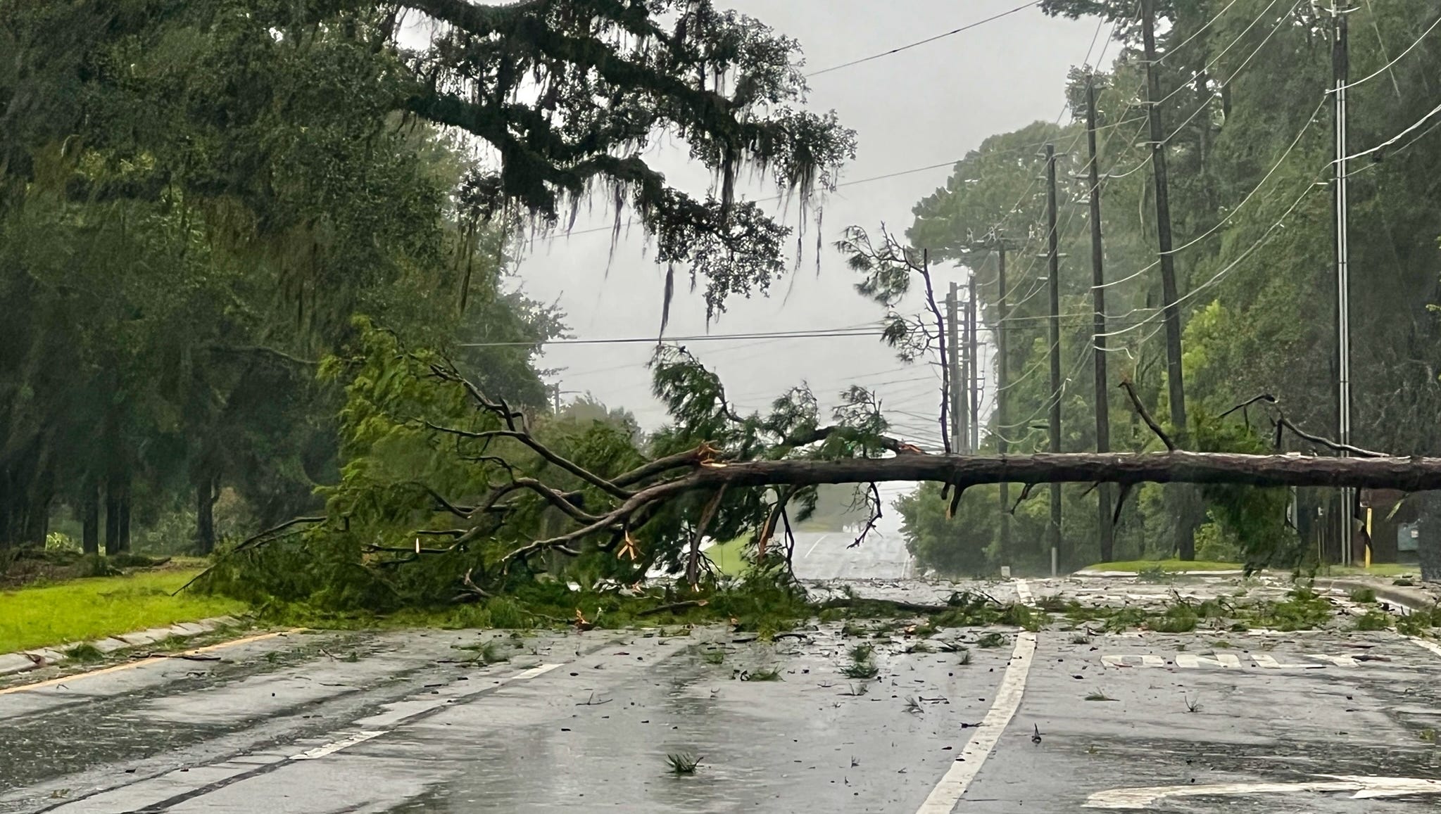 Hurricane Idalia Tallahassee Sees Rain Wind As Storm Passes