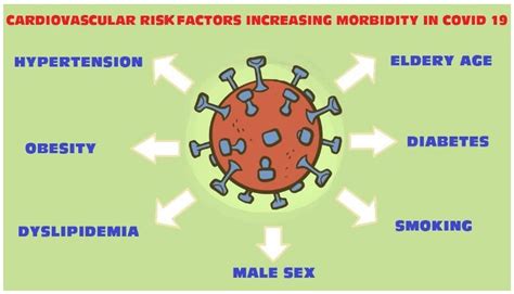 Jcm Free Full Text An Overview On The Primary Factors That