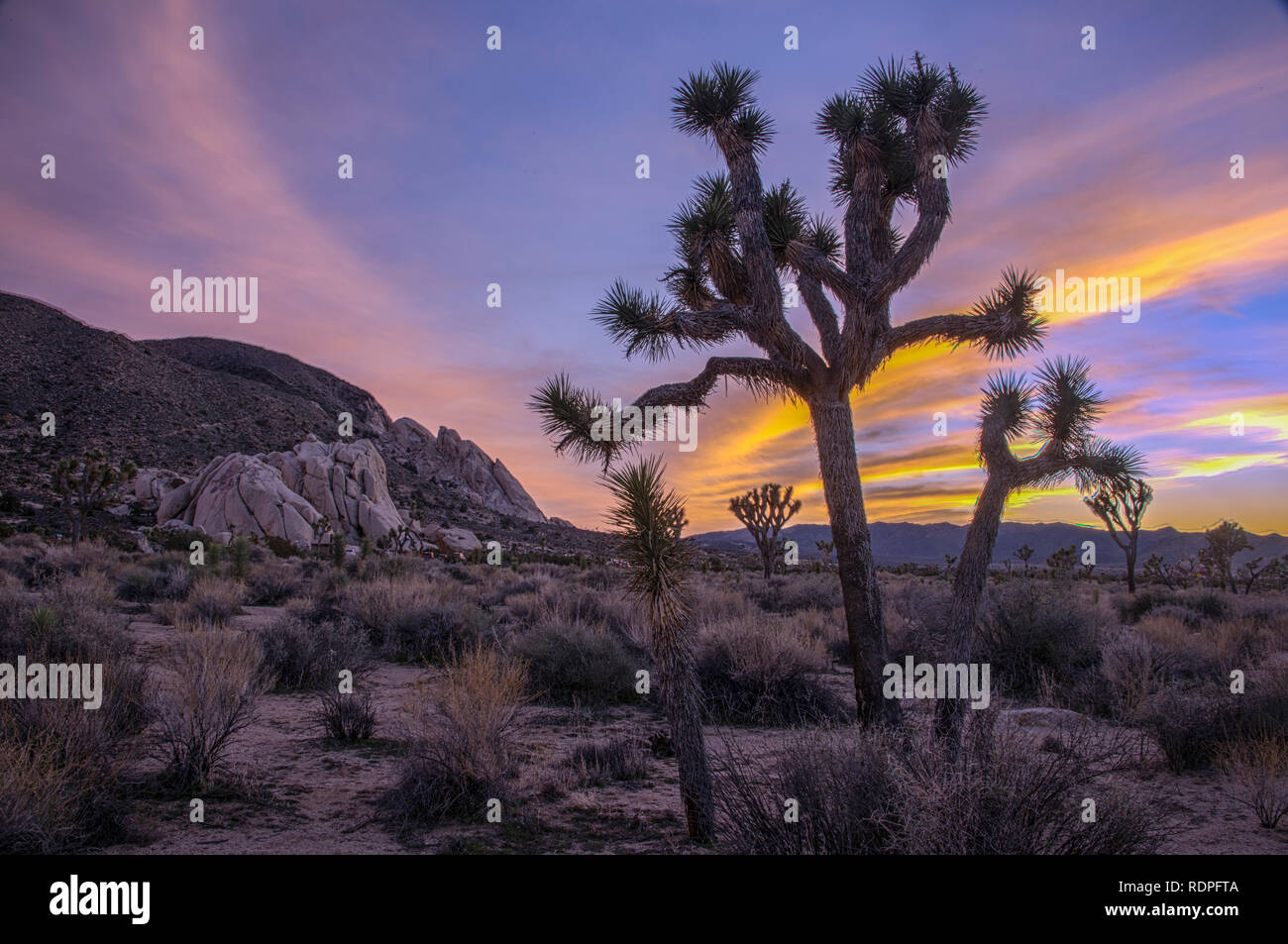 Joshua Tree National Park Twenty Nine Palms 29 Palms California Usa