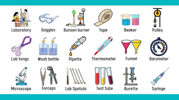 Laboratory Equipment Names In English 7Esl