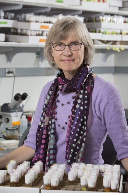 Lynn Cooley At Yale: Unveiling Her Research Legacy - Campus SDH