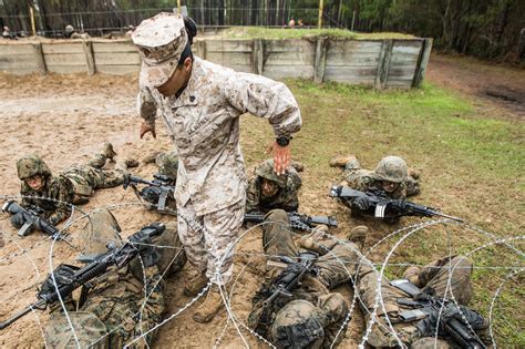 Marine Boot Camp Guide: Become A Warrior