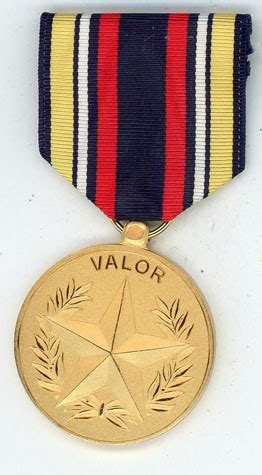 Navy Distinguished Civilian Award For Valor Floyd S Medals