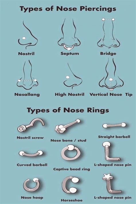 Nose Piercing Chart