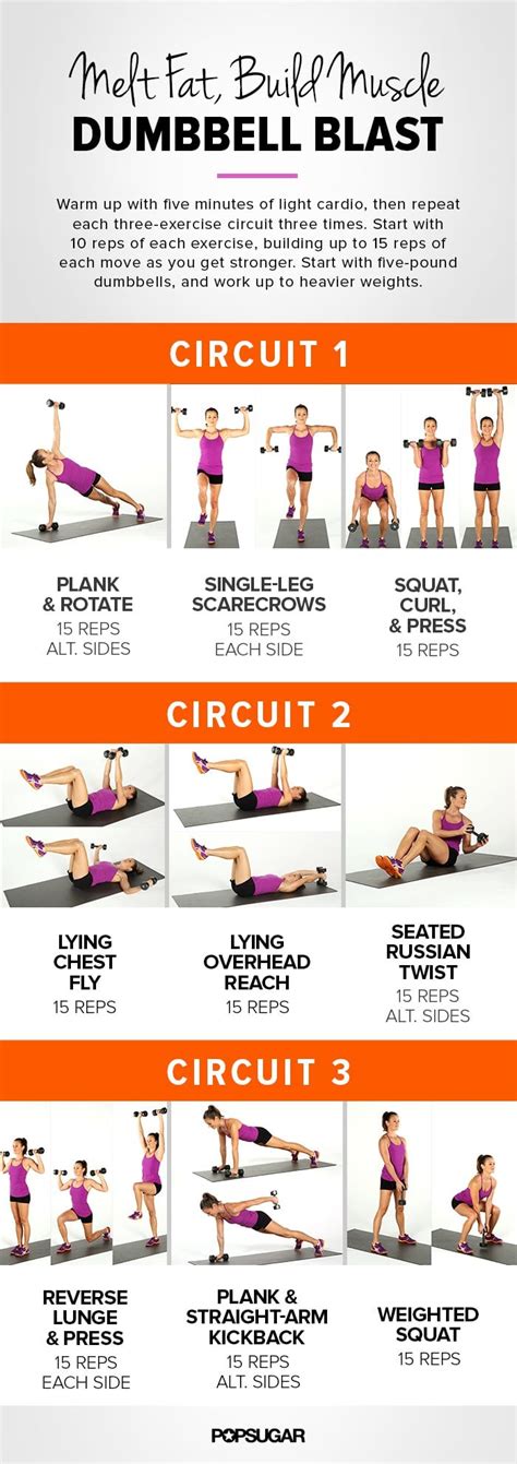 Pdf Printable Full Body Dumbbell Workout