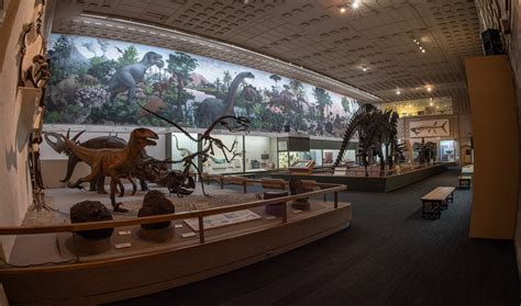 Peabody Virtual Background Education Yale Peabody Museum Of Natural