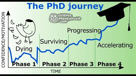 Phd Journey: Unlocking Expertise In Counselor Education