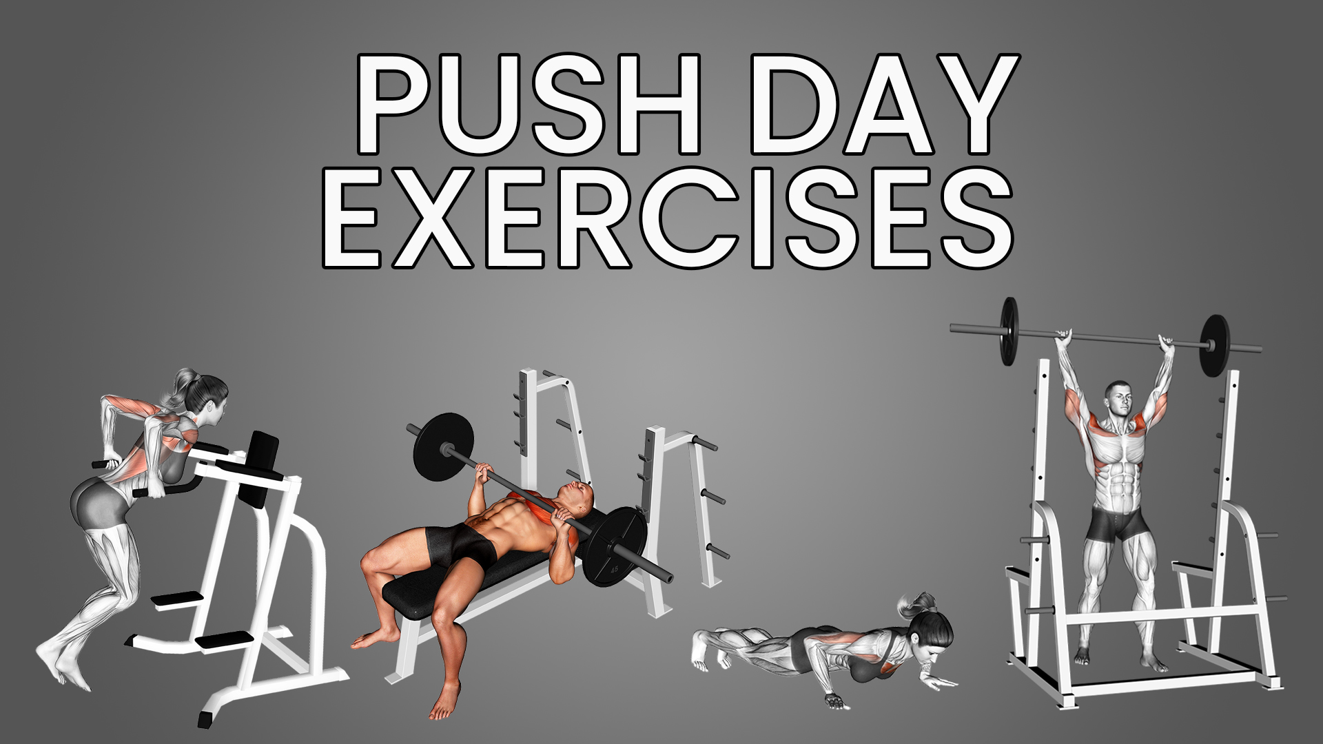 Push Day Exercises: Build Strength