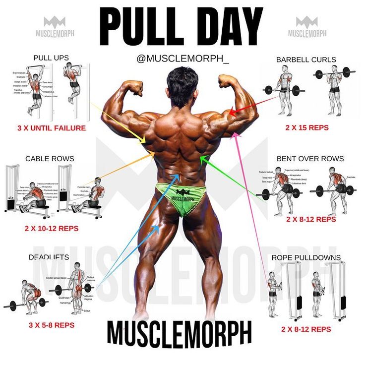 Push Day Give This Workout A Try Like Save Follow Musclemorph For