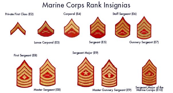 Rairingcatle Marine Corps Rank Structure