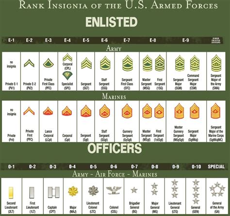 Rank Structure Army Enlisted: Understand Ranks Fast