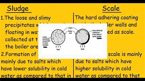 Scale Vs Scales At Toney Webb Blog