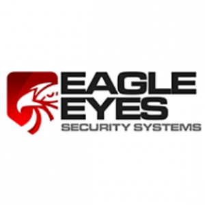 Secure Your Home And Business With These Eagle Eyes Security Camera