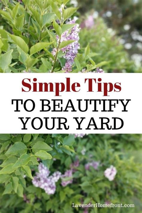 Simple Tips To Beautify Your Yard The Lavender Homefront Tips Yard