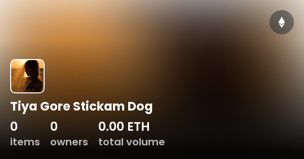 Stickam Adventures: Fun Times with Your Dog!