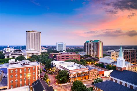 Tallahassee's Zing: Your Guide To Community Highlights