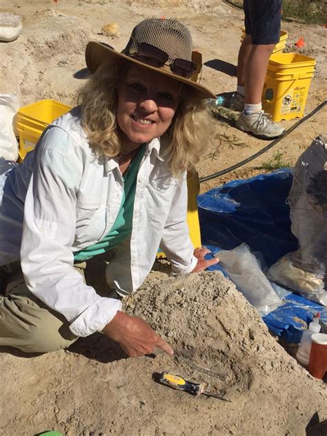 The Birds Of Montbrook Montbrook Fossil Dig