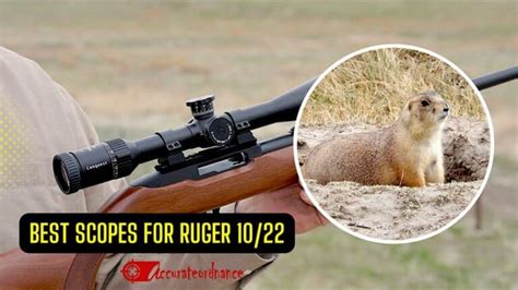 Top 5 Best Scope For Ruger 10 22 Reviews 2023 Updated