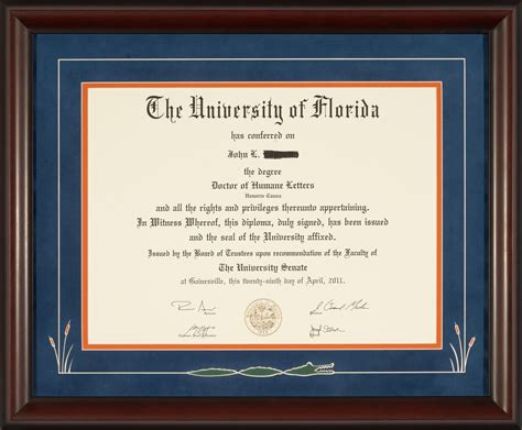 Uf Accounting Degree