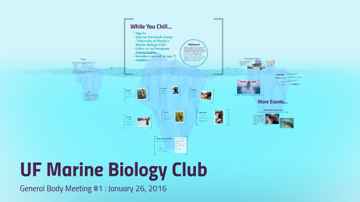 Uf Marine Biology Club By Bethany Gaffey On Prezi