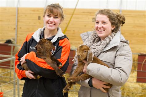 Uf To Host Animal Science Career Exploration Program Findlay Newsroom