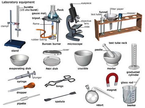 What Are Life Scientist Tools? Essential Lab Guide