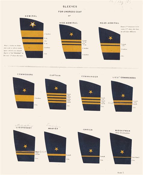 What Are Navy Officer Uniforms? Guide To Ranks