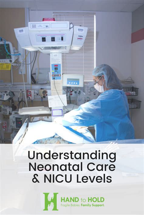 What Are Nicu Nursing Regulations? Expert Guide